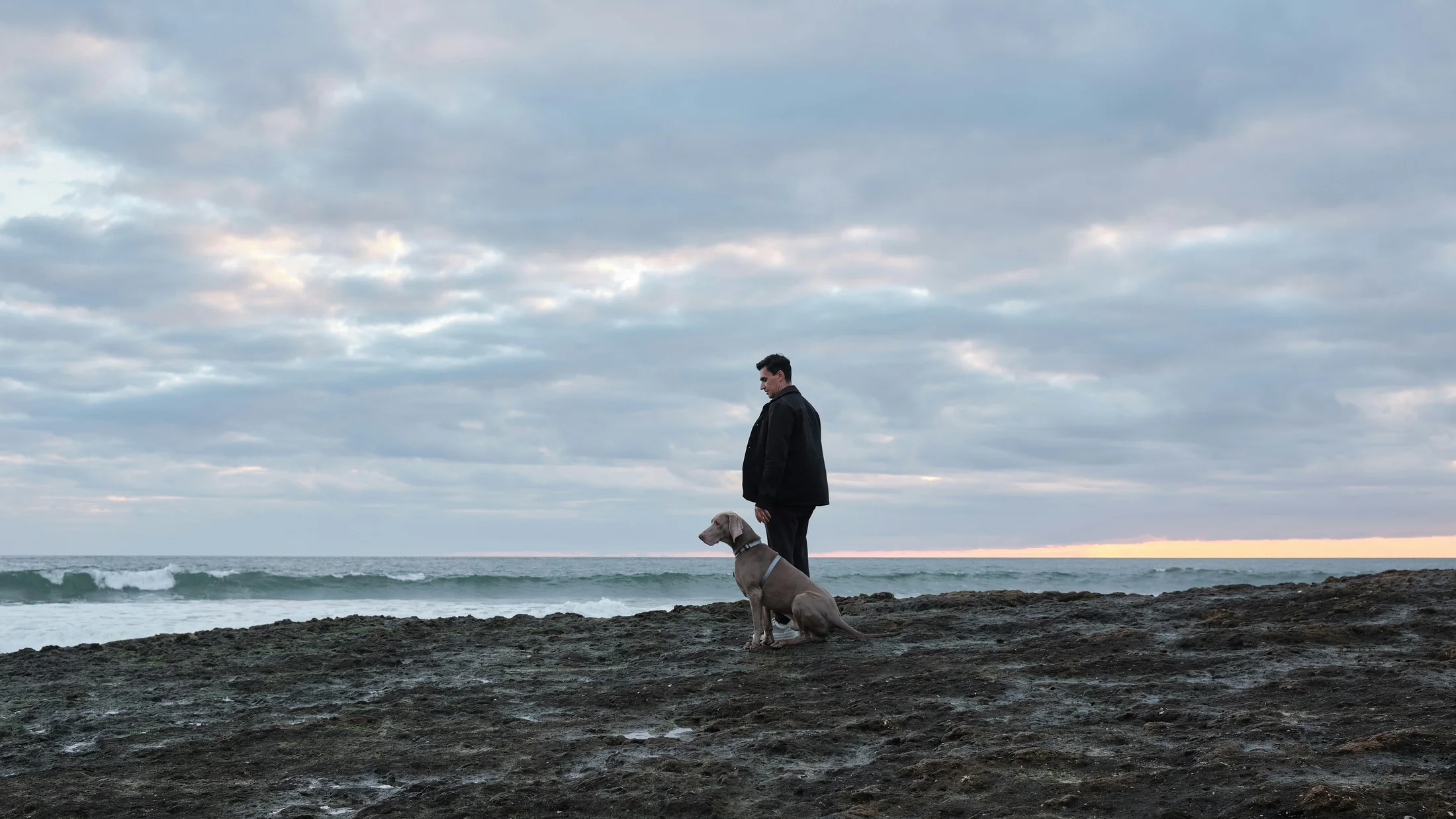An owner standing beside their dog on a rocky shoreline