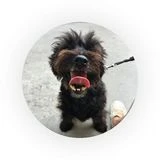 Charlie